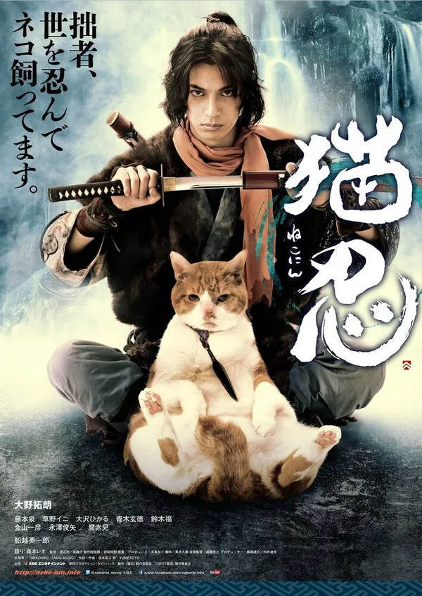 Ниндзя и кот